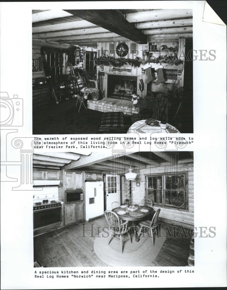 Interior of Log Home - RRW37961 - Historic Images