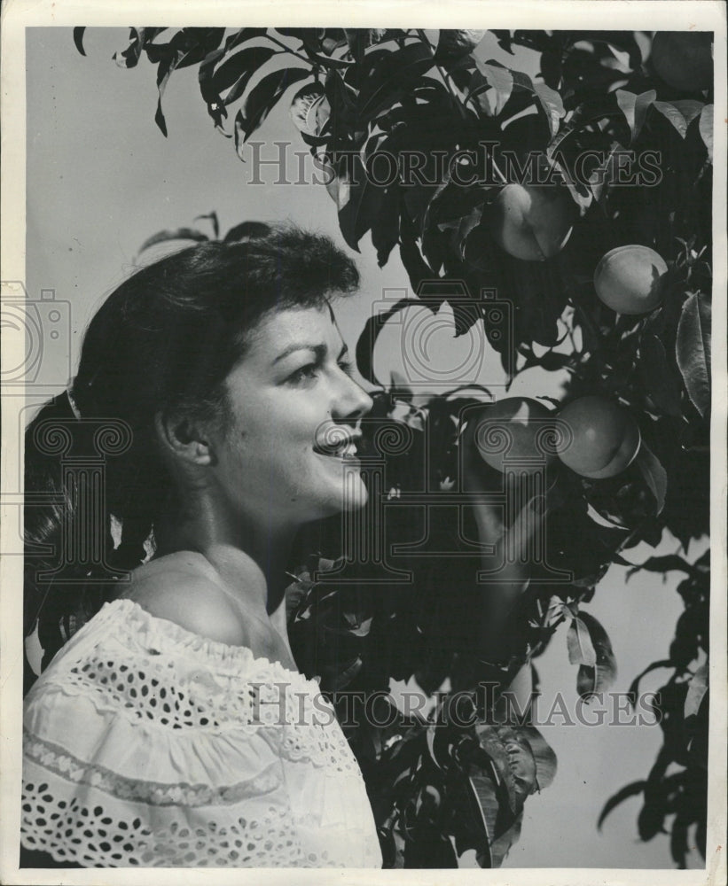 1953 Press Photo Peach Orchard/Fruit/Illinois - RRW38053 - Historic Images