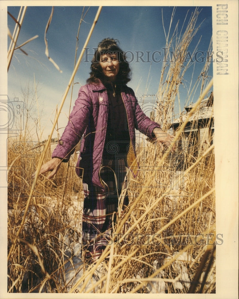 1991 Press Photo Armstrong yard prairie native grasses - RRW38171 - Historic Images