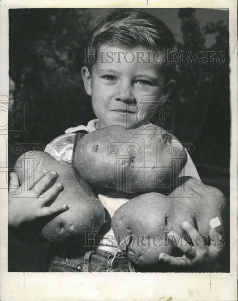 1957 Press Photo Jerry Wilcox Holds Homegrown Potatoes - RRW38355 - Historic Images