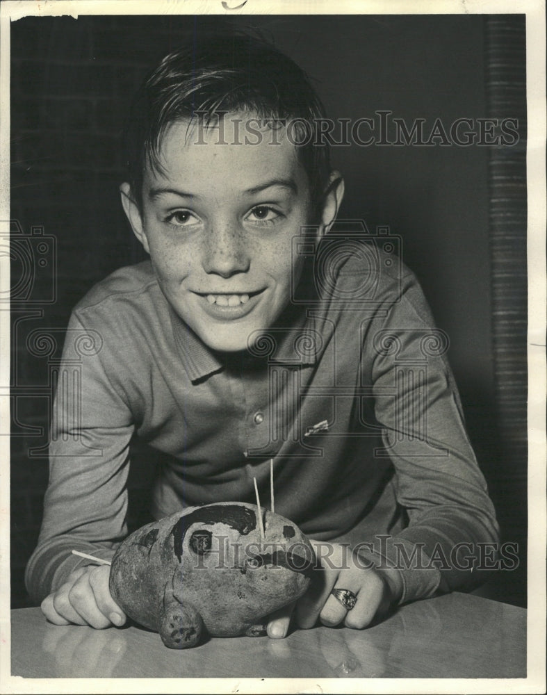 1964 Press Photo Potato Idaho Bull - RRW38399 - Historic Images