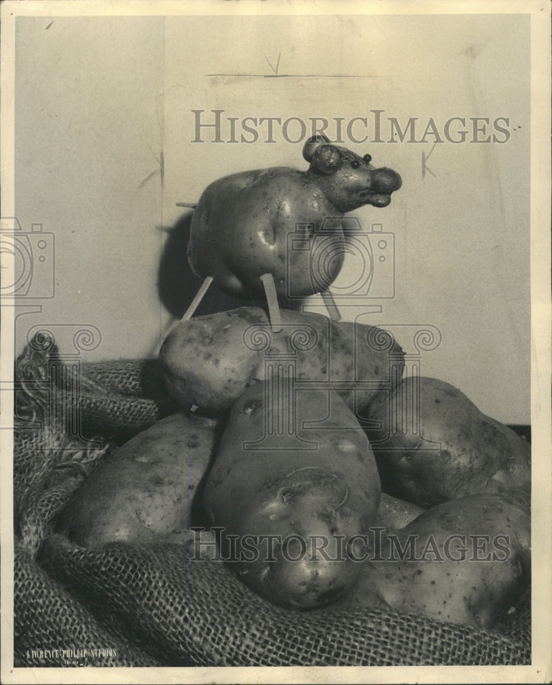 1948 Press Photo Oddly Shaped Potato Looks Like A Pig - RRW38401 - Historic Images