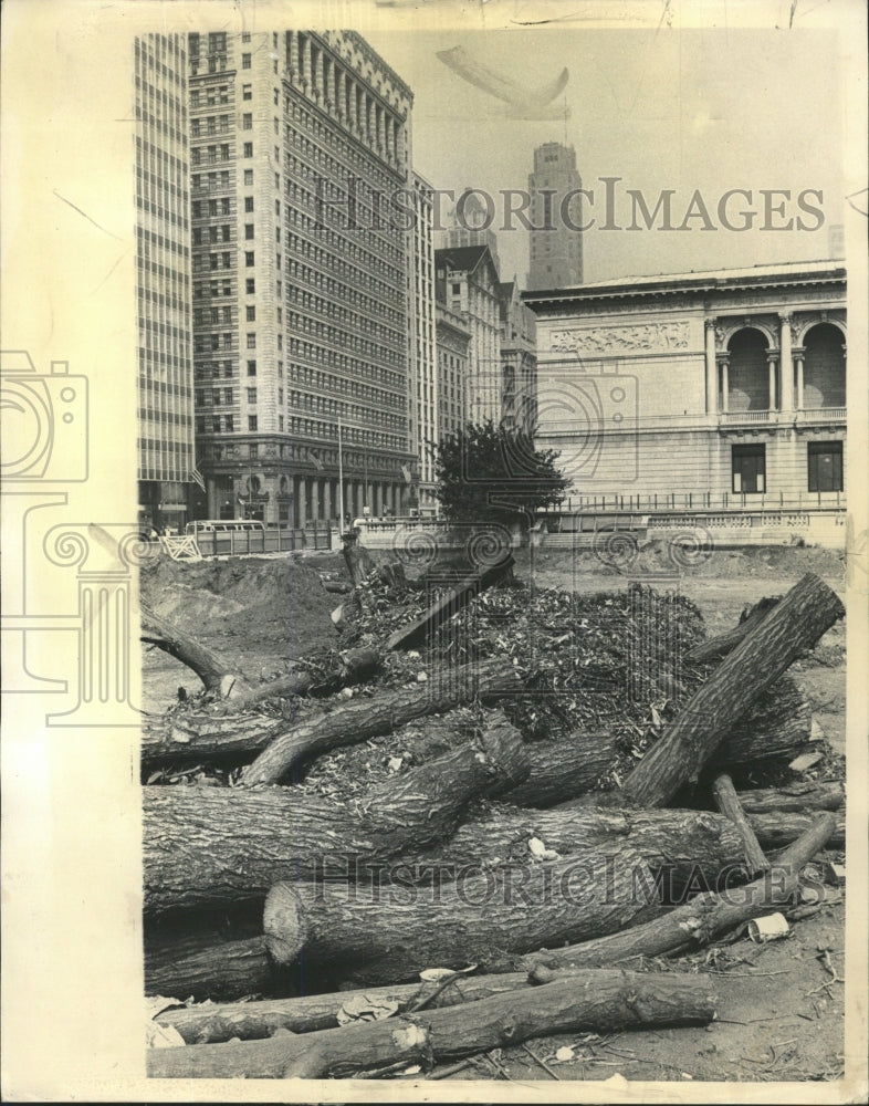 1963 Press Photo Elm Trees Down Construction - RRW38455 - Historic Images