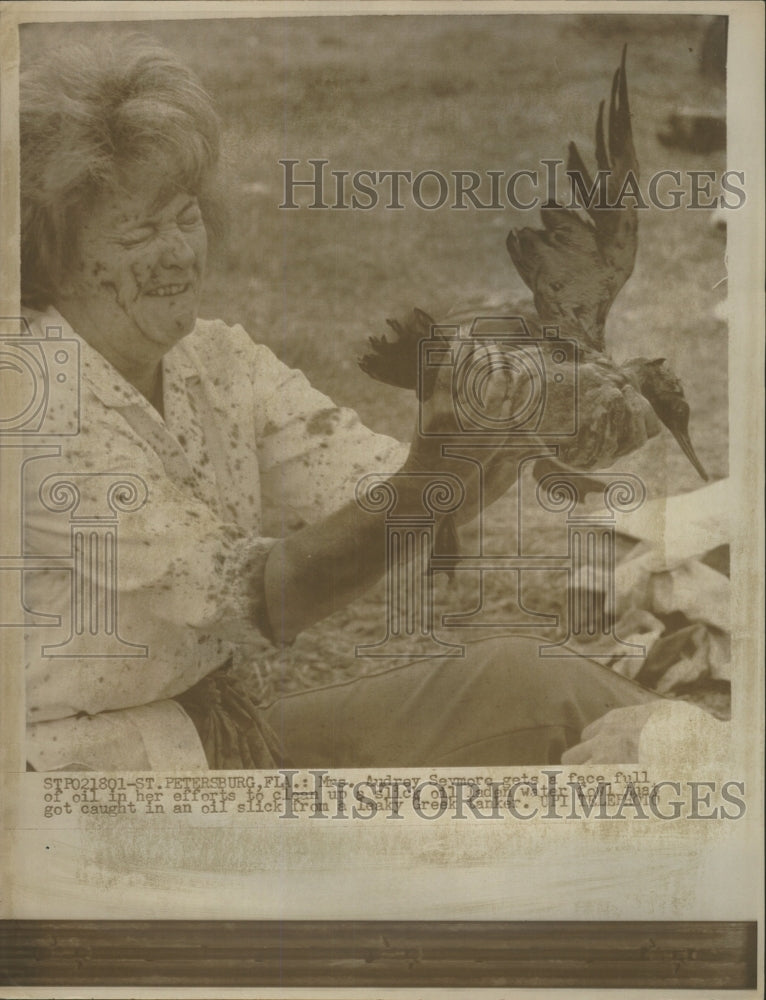 1970 Press Photo Bird Oil Clean Woman - RRW38473 - Historic Images