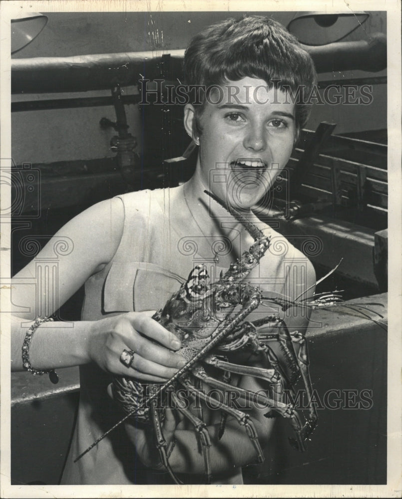 1966 Press Photo Kathy Meyers holds spiny lobster - RRW38513 - Historic Images