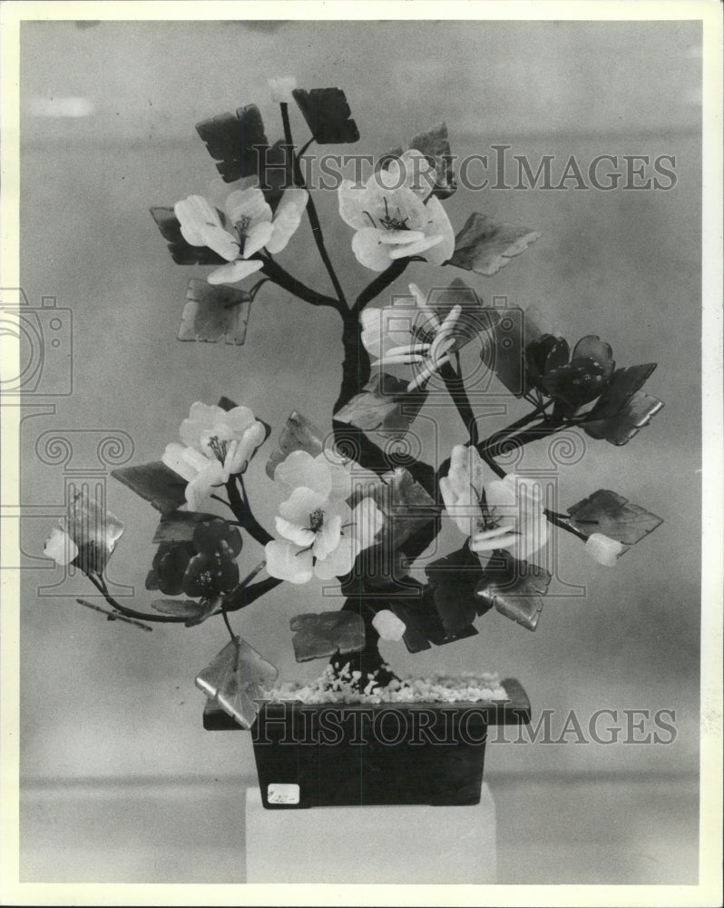 1984 Press Photo Oriental Plant - RRW38523 - Historic Images