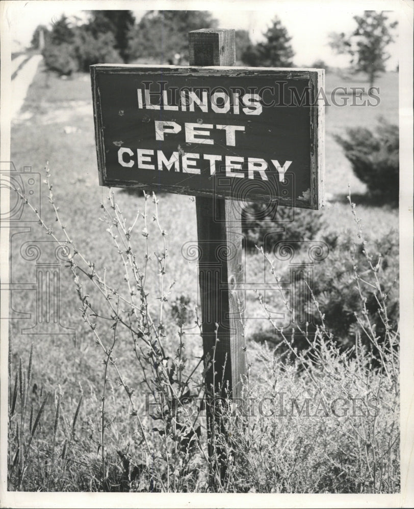 1953 Press Photo Sign For Illinois Pet Cemetery - RRW39023 - Historic Images