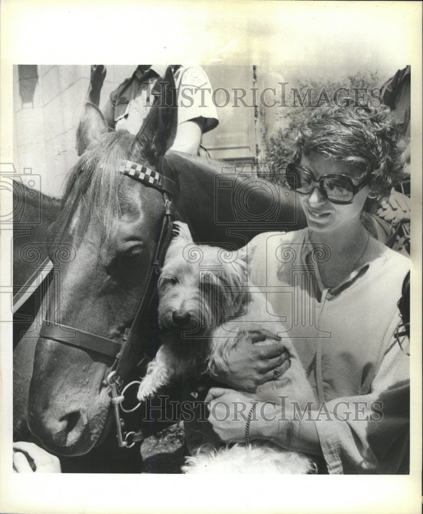 1982 Press Photo Pet Dog And Police Horse Await Blessin - RRW39031 - Historic Images