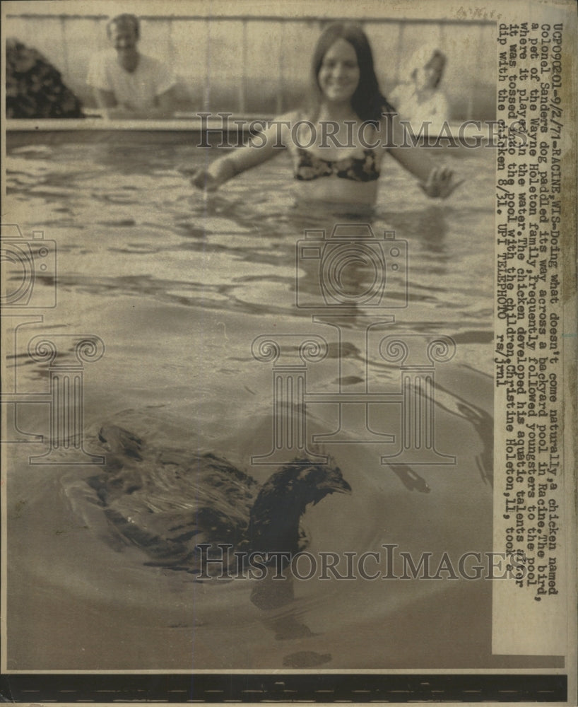 1971 Press Photo Pet Chicken - RRW39035 - Historic Images