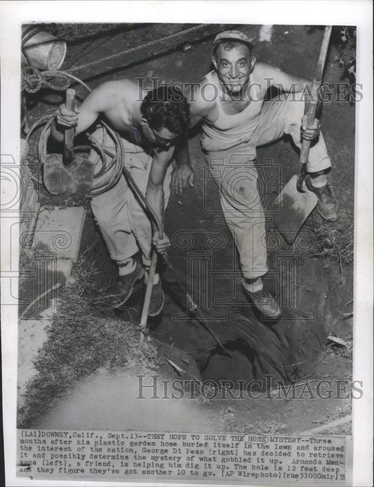 1955 Press Photo Plastic Garden Hose - RRW39535 - Historic Images