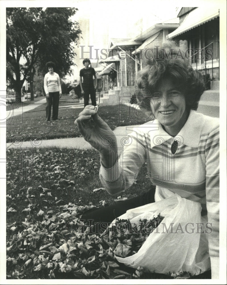 1980 Press Photo Like Needle Haysticks Kenny Ring - RRW39719 - Historic Images