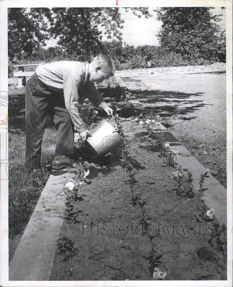 1960 Press Photo Gardening - RRW40759 - Historic Images