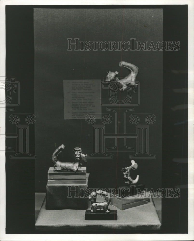 1967 Press Photo per-columbian Birds animal Gold - RRW41403 - Historic Images