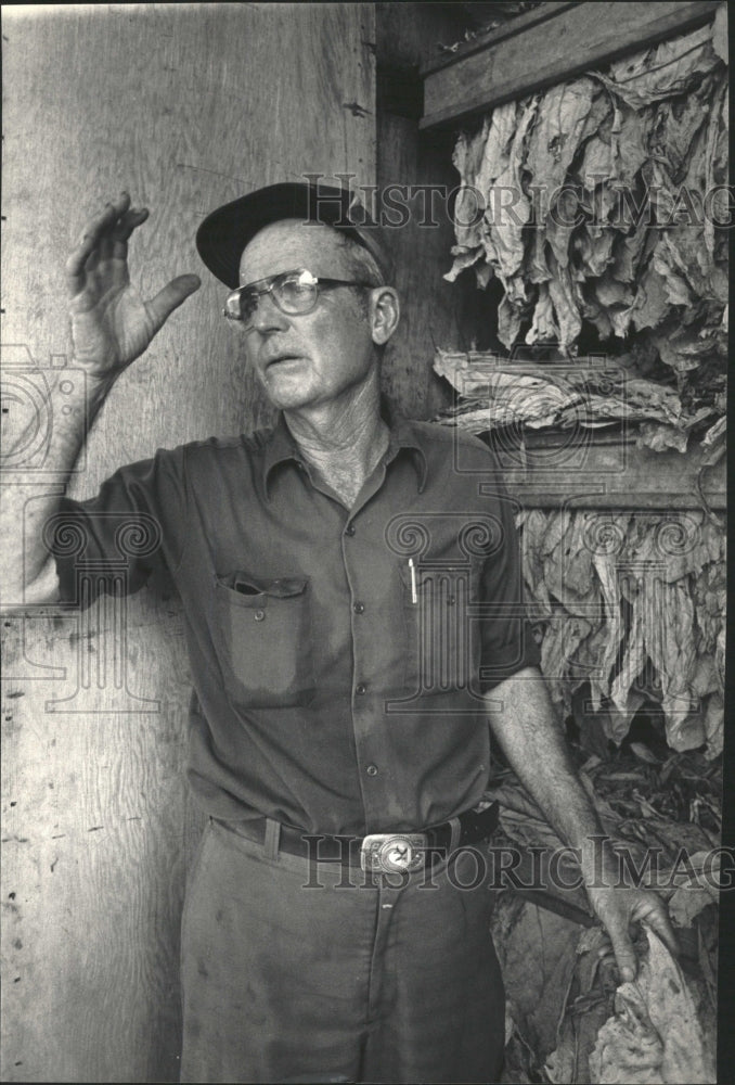 1986 Press Photo Russell Carr inspects tobacco leaves. - RRW42735 - Historic Images