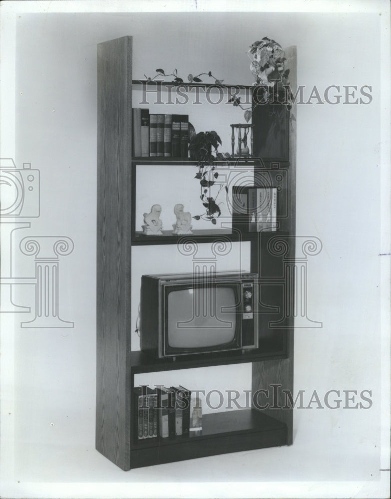 1978 Press Photo Wall Units Housing Decorations Chicago - RRW43811 - Historic Images