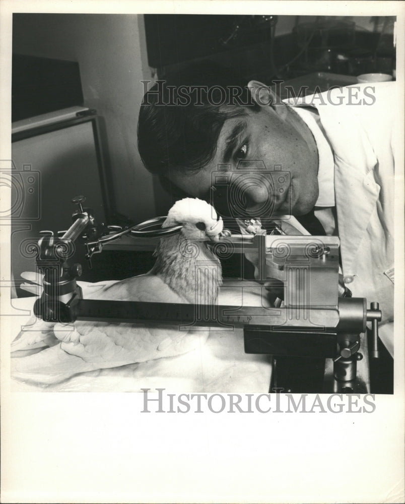 1968 Press Photo John Stone PhD specialist neurophysiol - RRW44275 - Historic Images
