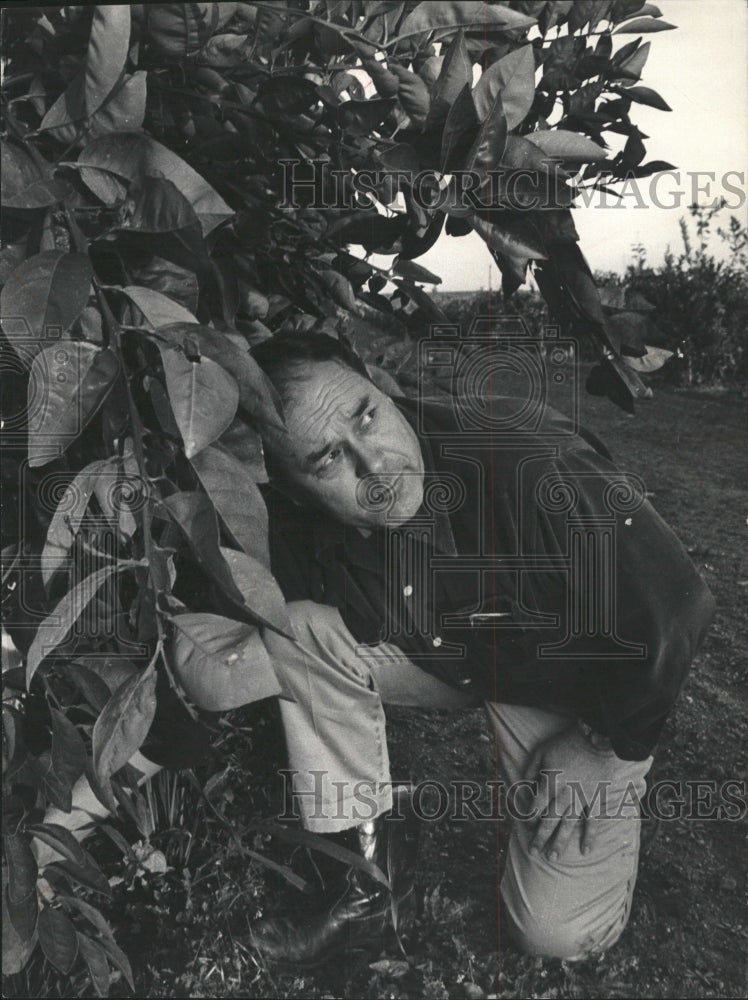 1966 Press Photo Jack Pandol grape grower - RRW44711 - Historic Images