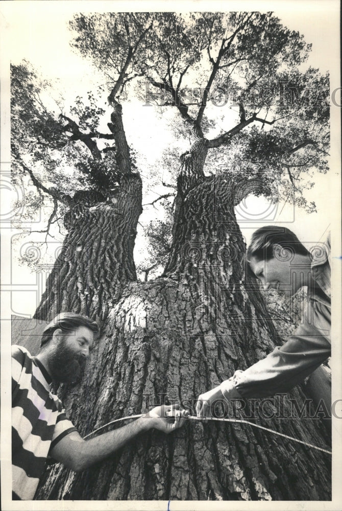 1980 Press Photo People Measuring Tree Want To Save - RRW45317 - Historic Images