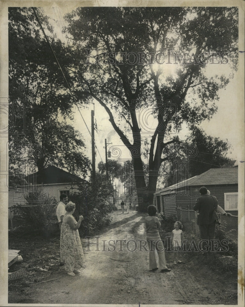 1976 Press Photo 135-Year-Old Cottonwood Tree - RRW45319 - Historic Images