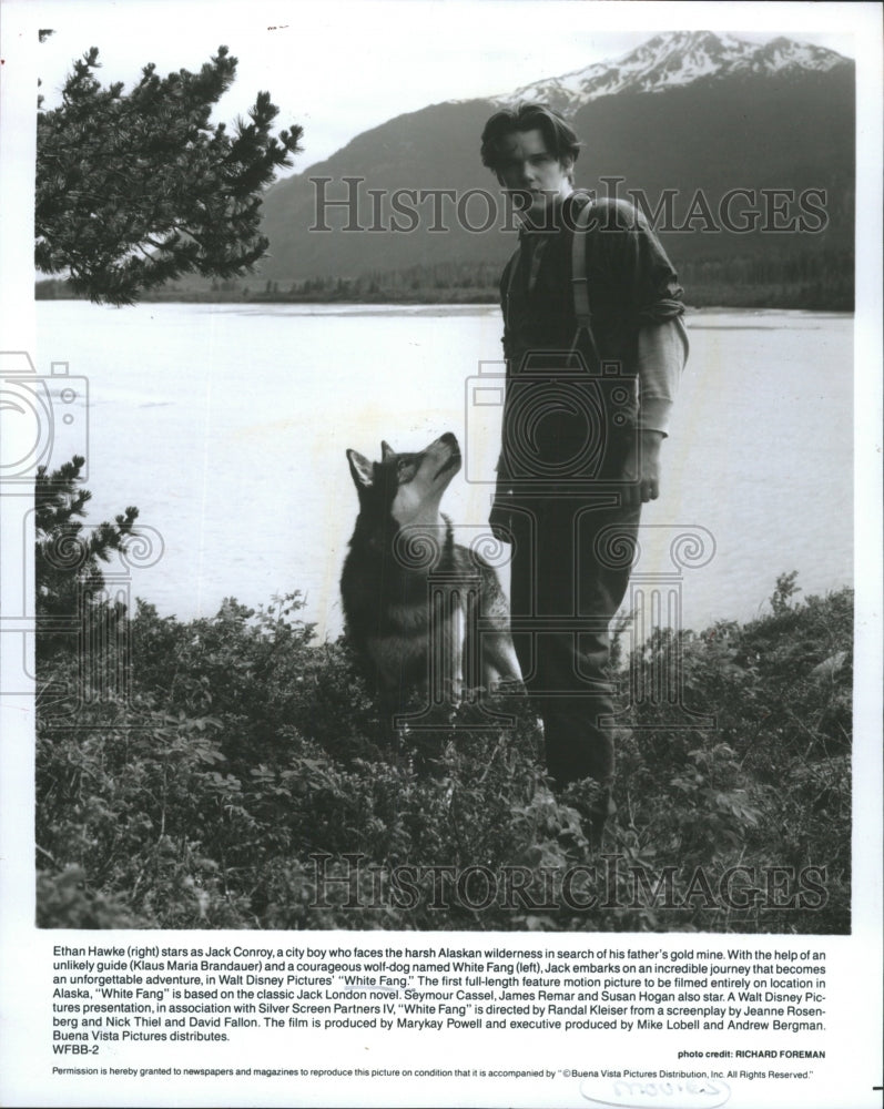 1996 Press Photo Disney Movie, White Fang - RRW45367 - Historic Images