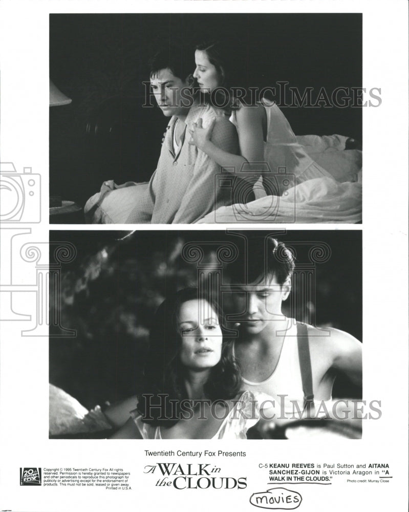 1995 Press Photo A Walk in the Clouds Motion Picture - RRW45465 - Historic Images