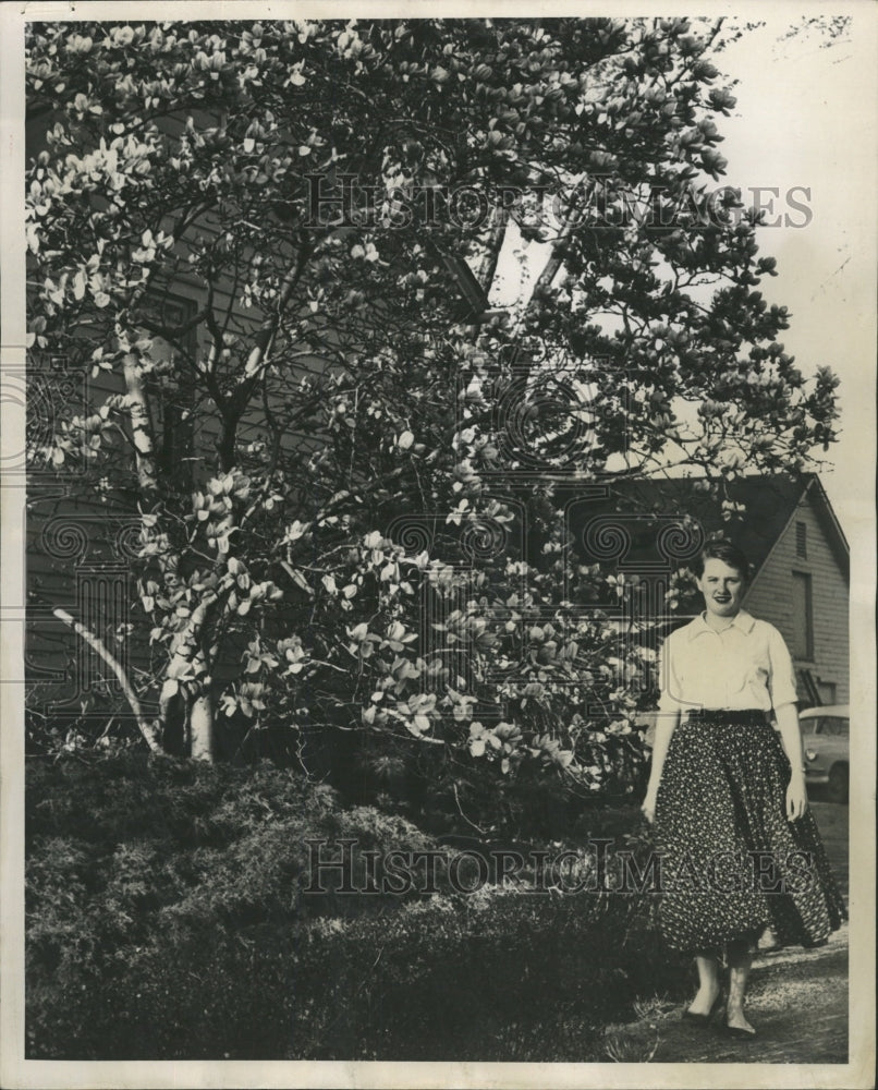 1956 Press Photo MAGNOLIA TREE ANNETTE PALMGREN - RRW45841 - Historic Images