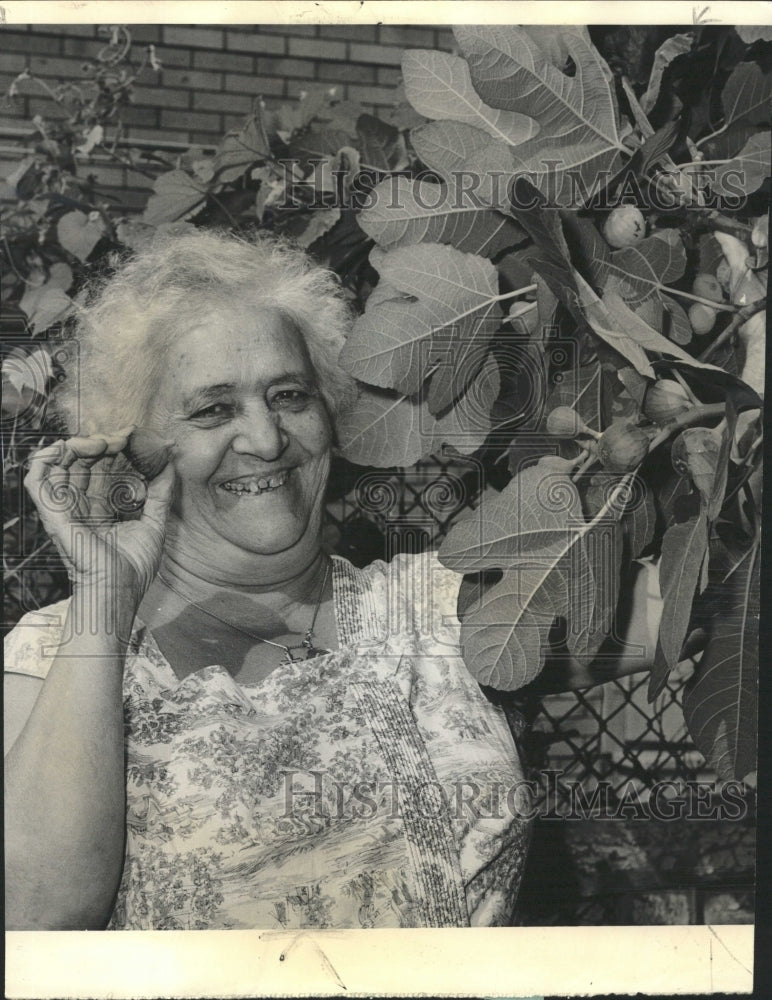 1964 Press Photo Mrs. Josephine Conte Eats Backyard Fig - RRW45879 - Historic Images