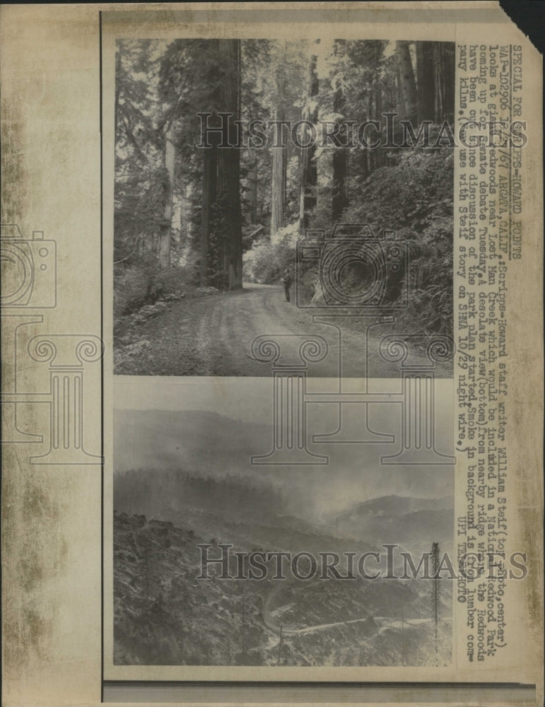 1967 Press Photo Views of Redwoods - RRW45893 - Historic Images