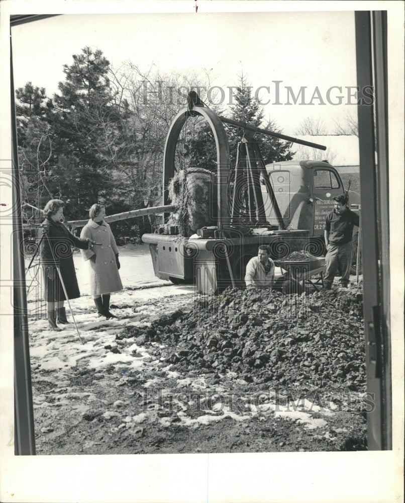 1965 Press Photo Imperial Locust Tree Being Planted - RRW45979 - Historic Images