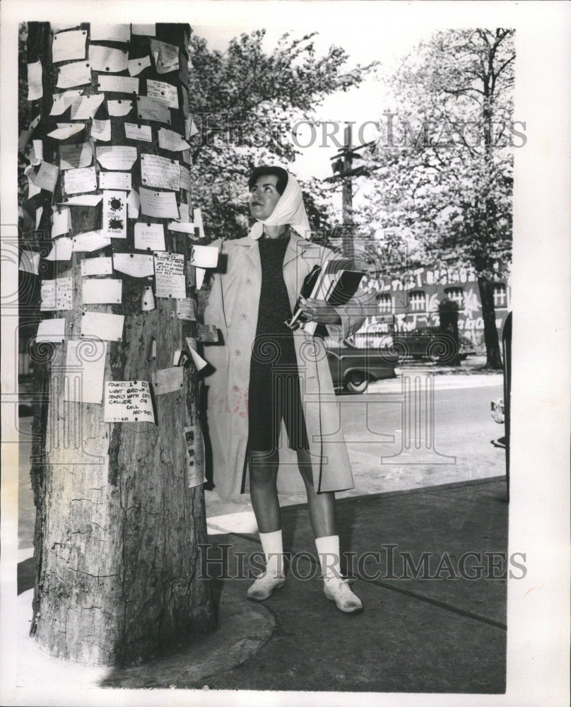 1960 Press Photo The Tree University Chicago Board - RRW46027 - Historic Images