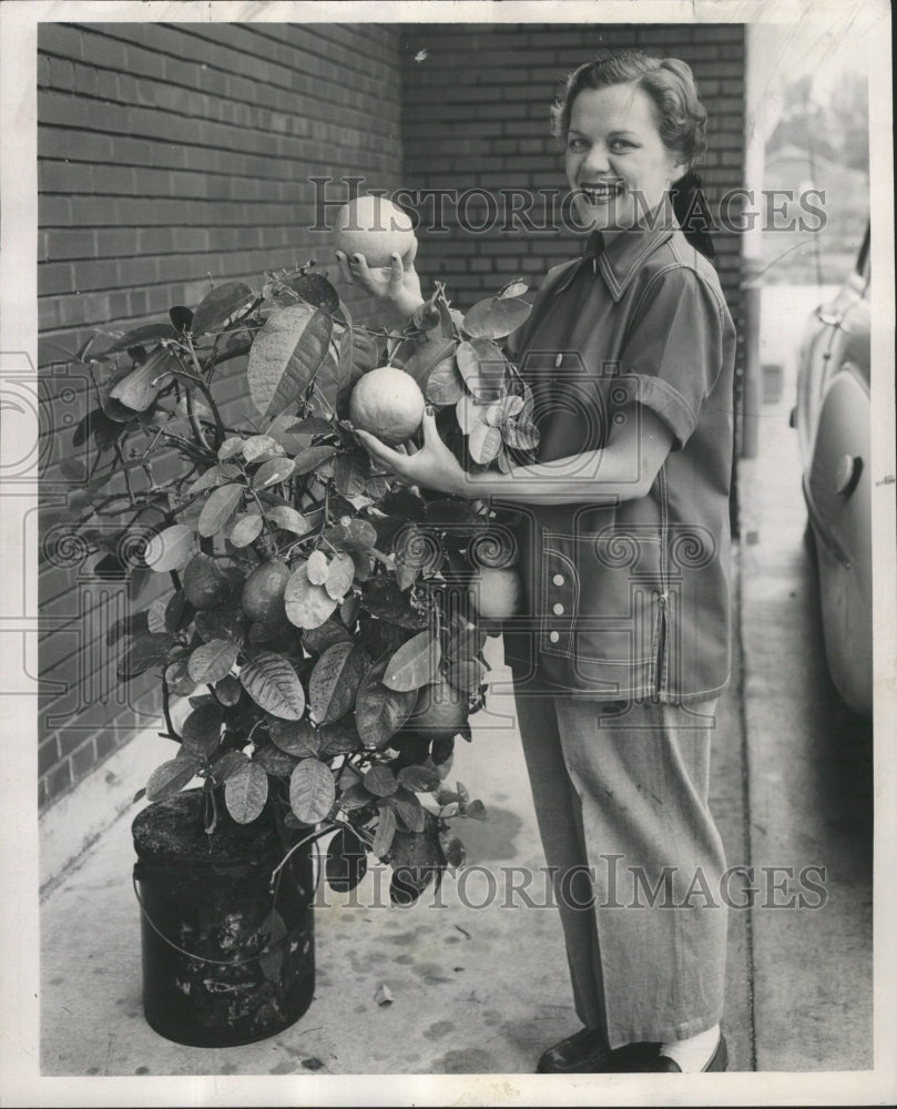 1953 Press Photo Mrs. Thor Lowe, DuPage Service Co. - RRW46029 - Historic Images