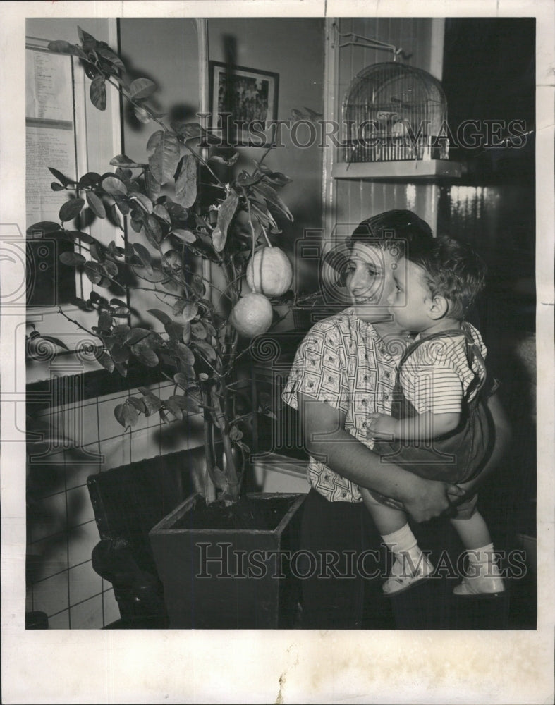 1960 Press Photo Scalia Lemon Tree Barber Shop - RRW46031 - Historic Images