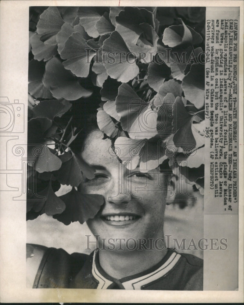 1965 Press Photo Girl Under Maidenhair Tree Univ Park - RRW46033 - Historic Images