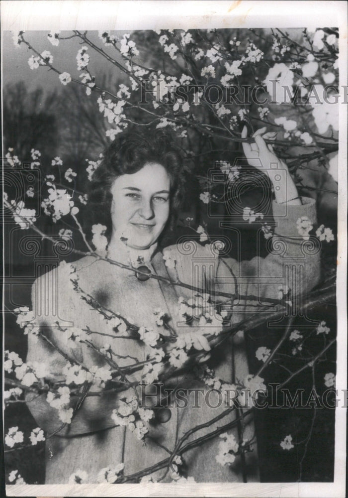 1961 Press Photo Woman Posing Apricot Blossoms Tree - RRW46061 - Historic Images