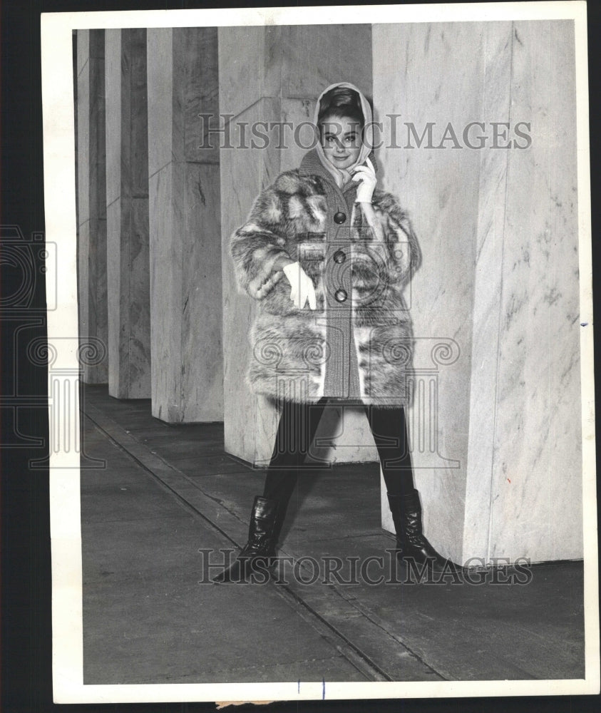 1963 Press Photo American Opossum Long Haired Fur Coat - RRW46437 - Historic Images