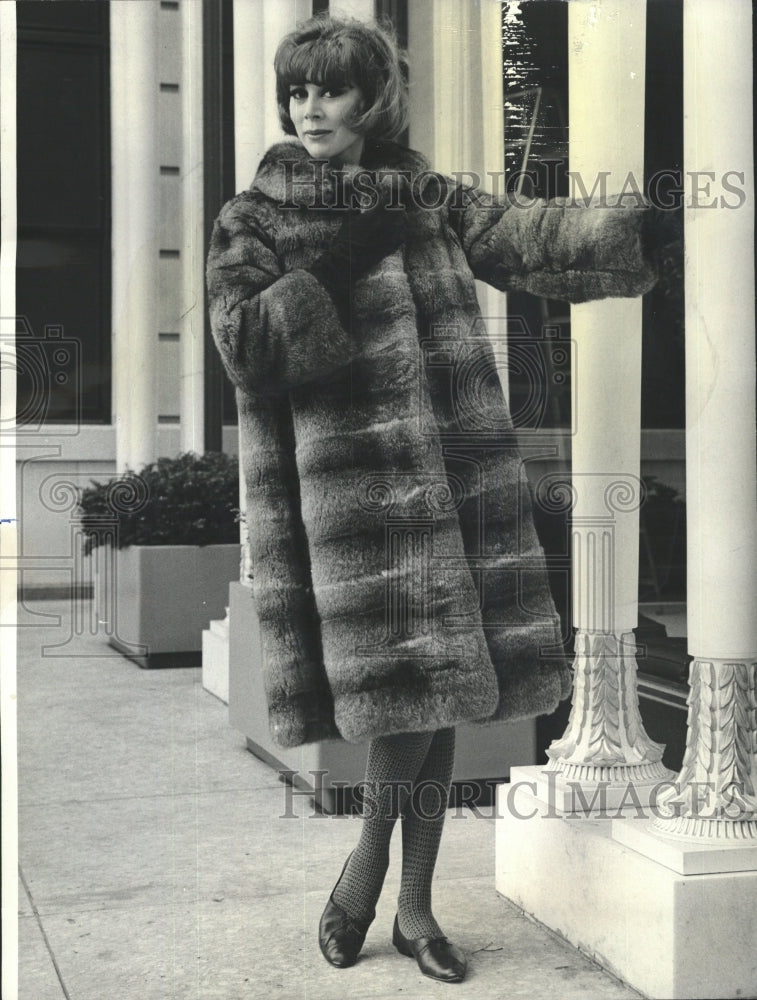 1964 Press Photo Gray Australian Opossum Greatcoat - RRW46439 - Historic Images