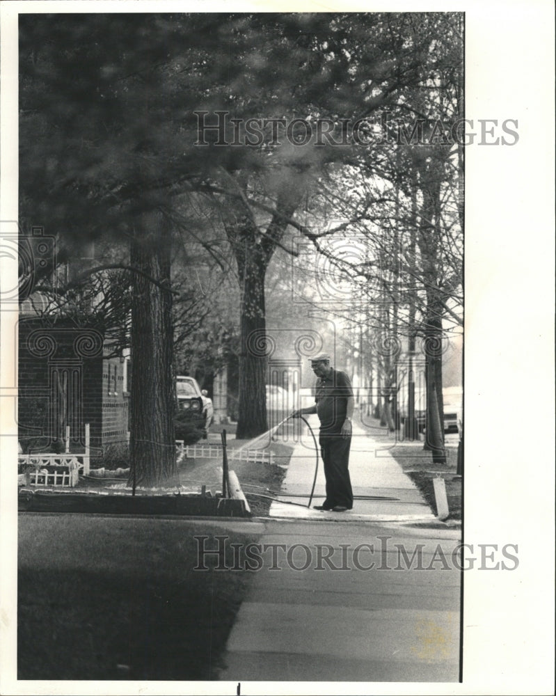 1986 Press Photo Chatham Neighbourhood Chicago Area - RRW46919 - Historic Images