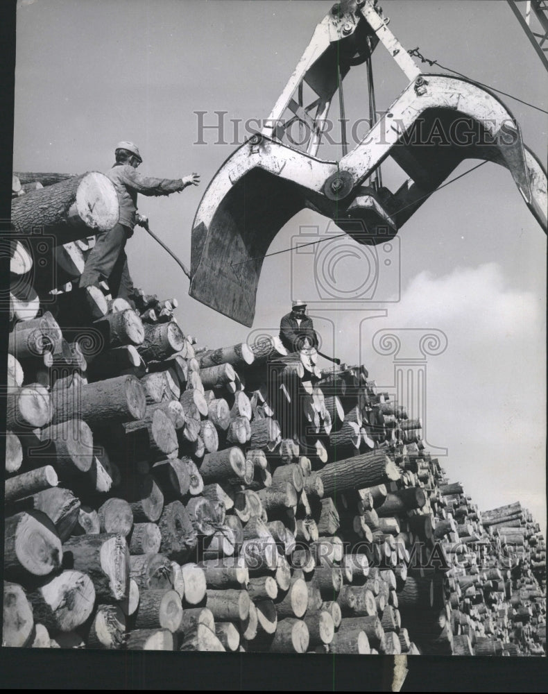 Press Photo Kimberly-Clark Corp. Wood Stockpile - RRW47383 - Historic Images