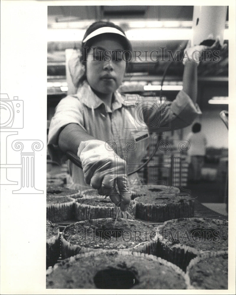 1985 Press Photo Fruitcake - RRW49043 - Historic Images