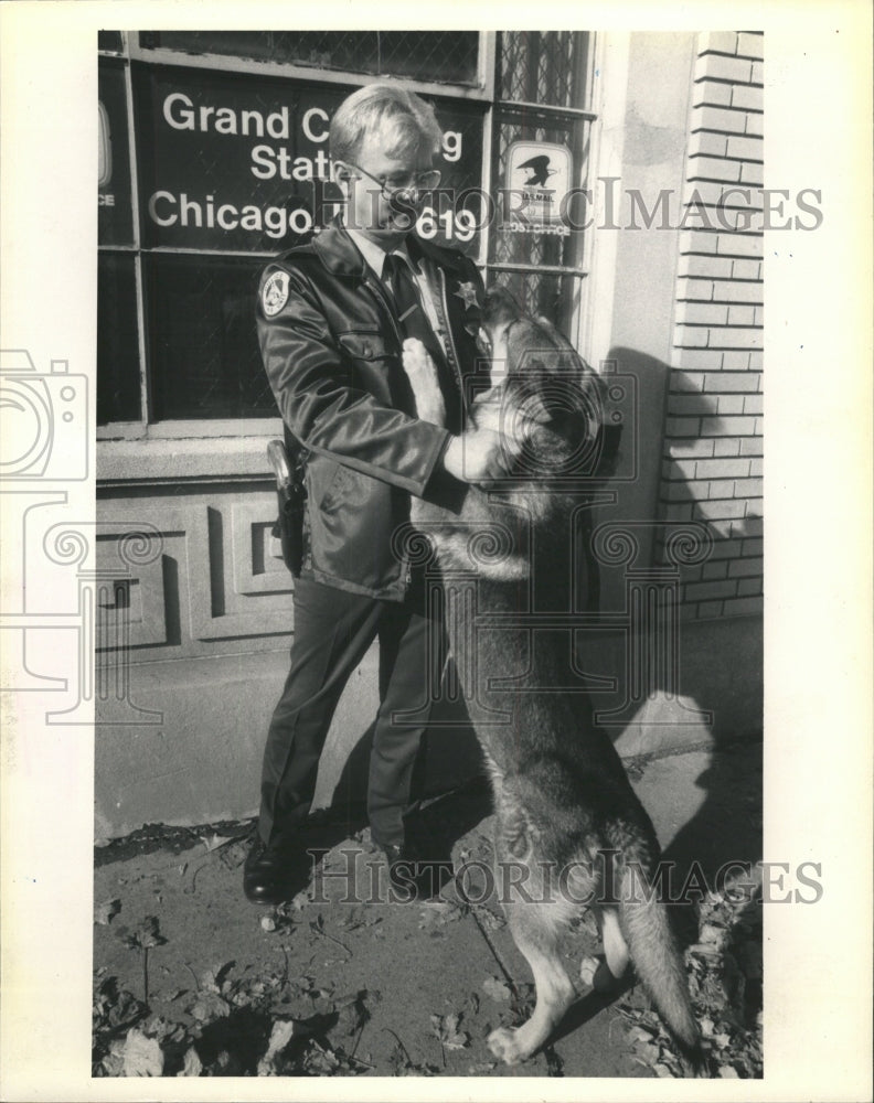 1984 Press Photo Cook Country Forest Winter Canine Dog - RRW49187 - Historic Images