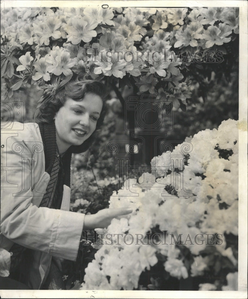 1959 Press Photo MRS ROBERT A. MILLER THE AZEALIA SHOW - RRW49377 - Historic Images