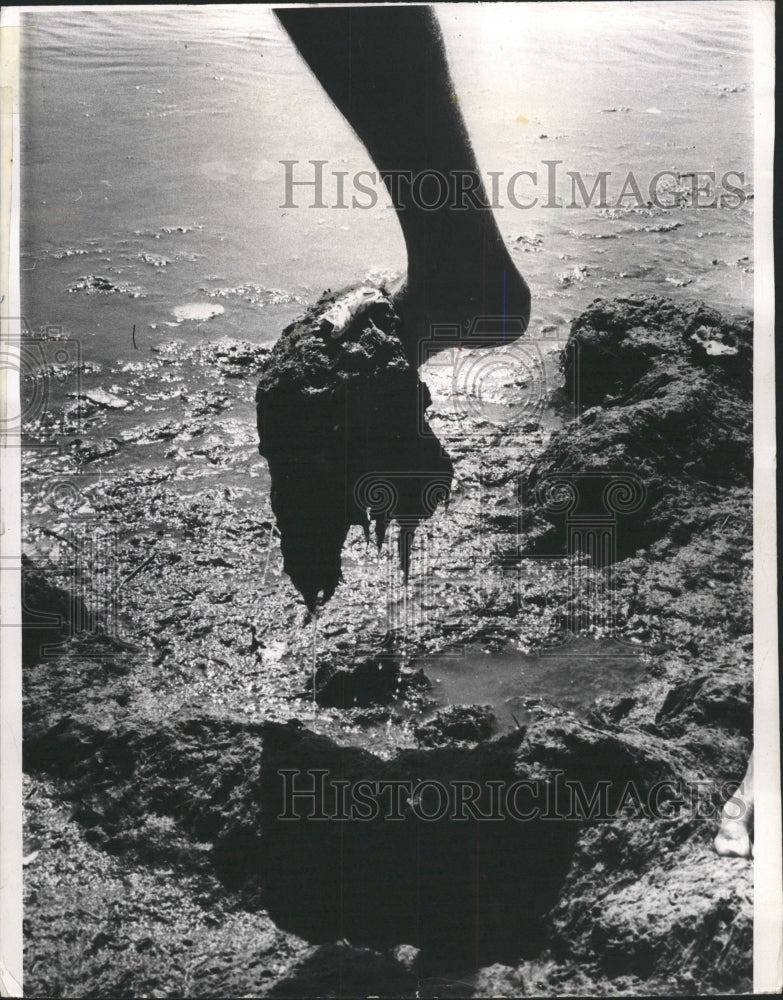 1970 Press Photo Swimmer Foot Loyola Beach Aglae Hold - RRW50261 - Historic Images