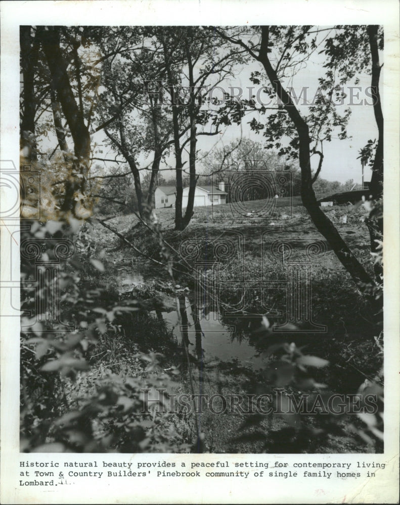 1988 Press Photo Little homeowrk real estate Pinebrook - RRW50787 - Historic Images