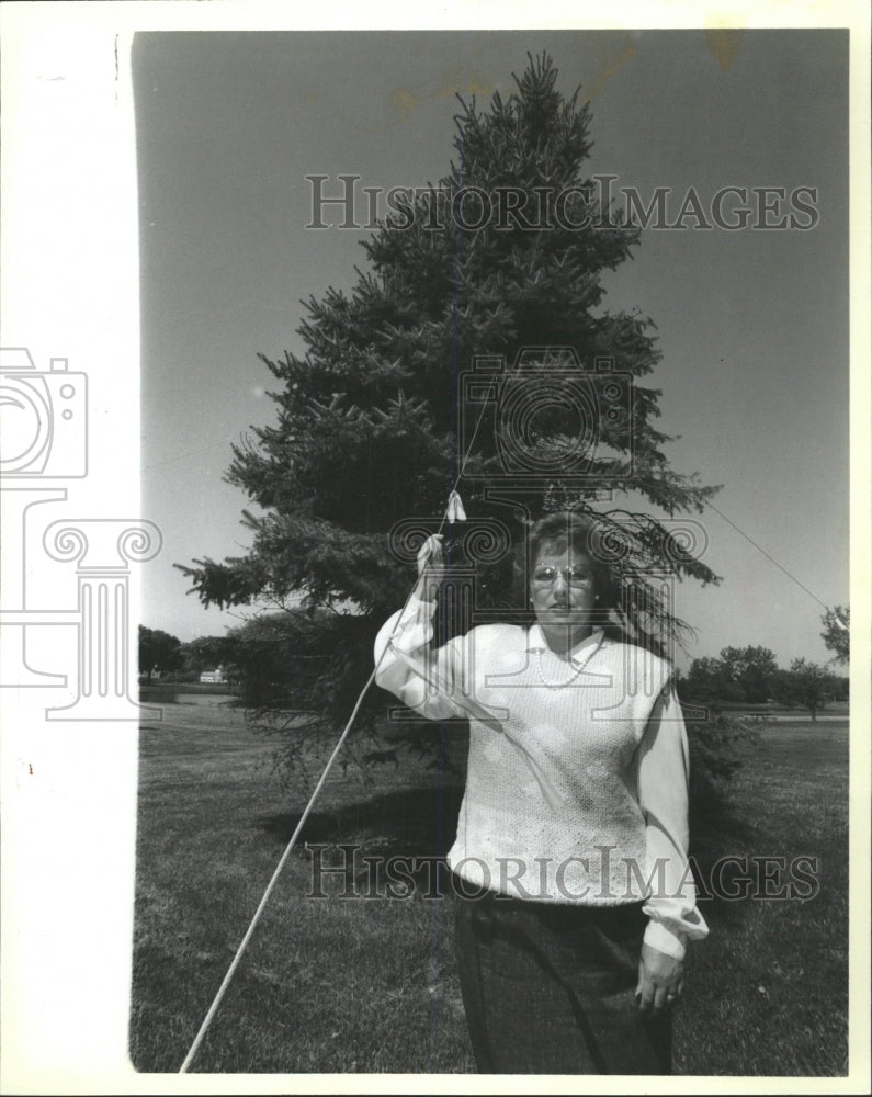 1988 Press Photo Libertyville Bulldozers Milwaukee Tree - RRW50791 - Historic Images