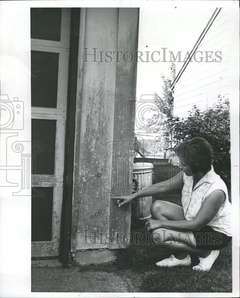 1967 Press Photo Orland Park Home Garage Paint Missing - RRW51193 - Historic Images