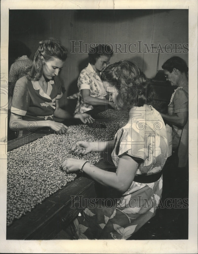 1947 Press Photo Peanut Oneta Rodger Harrison Quick - RRW51267 - Historic Images