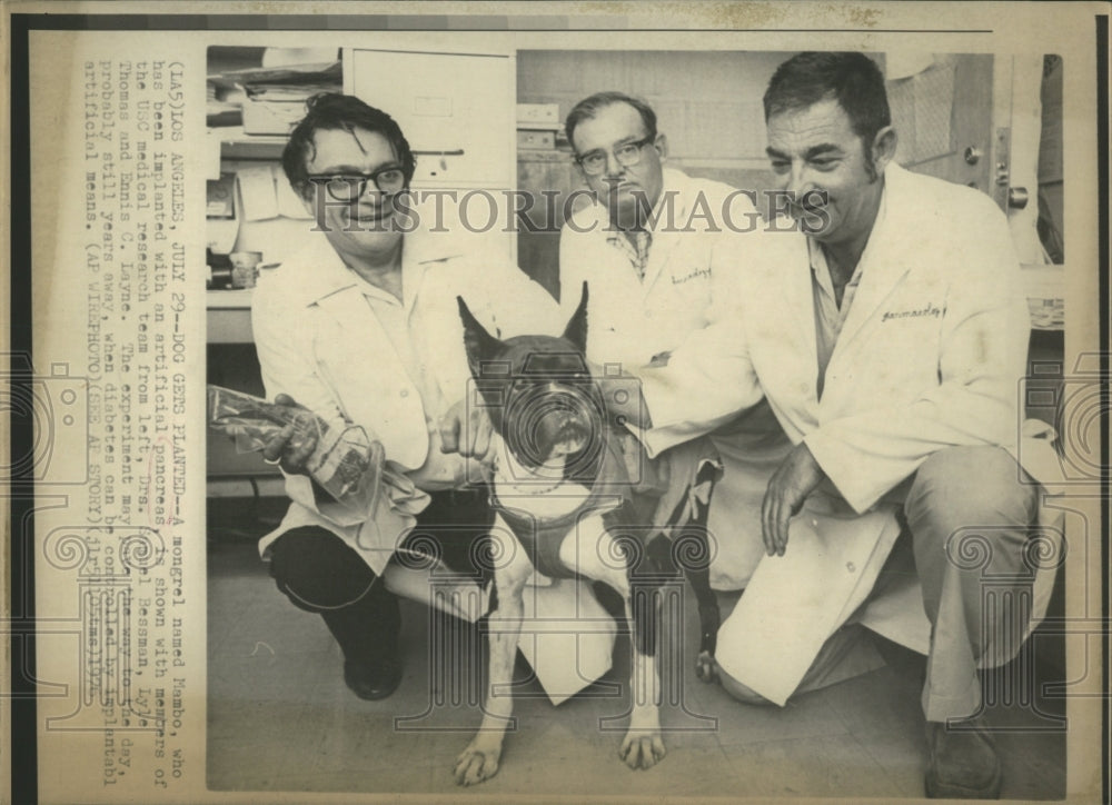 1976 Press Photo Dog Implanted Artificial Pancreas - RRW52053 - Historic Images