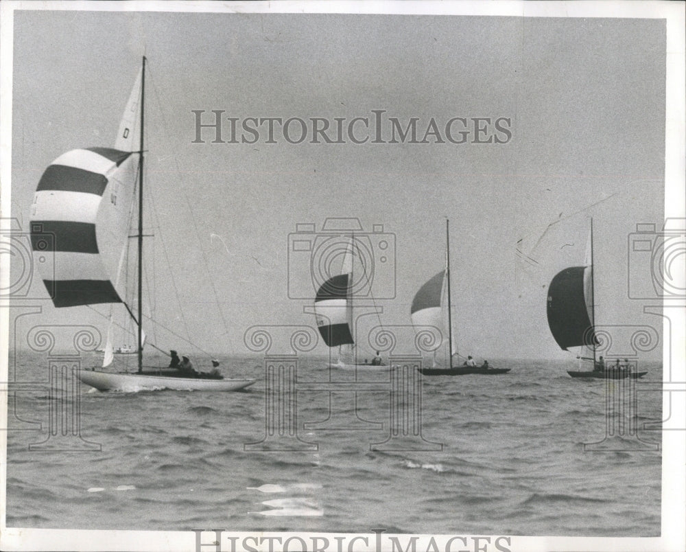 1959 Press Photo YACHT RACE PAN AMERICAN EVENT - RRW52121 - Historic Images