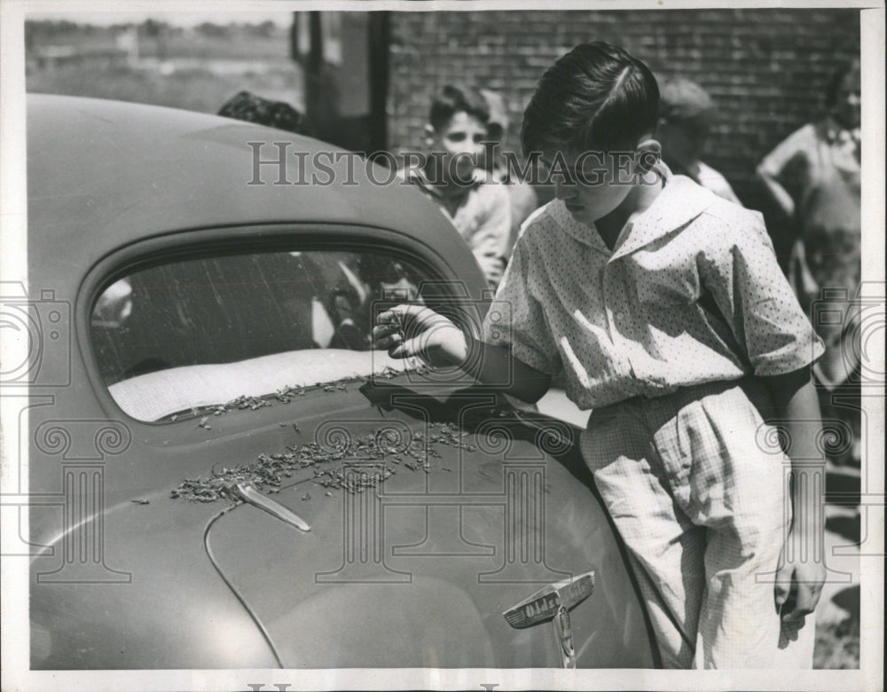 1937 Press Photo Crickets - RRW52761 - Historic Images