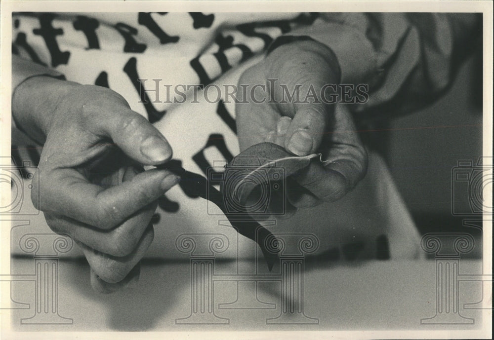 1981 Press Photo Kosher Crepes Chocolate Leaves Baking - RRW53051 - Historic Images